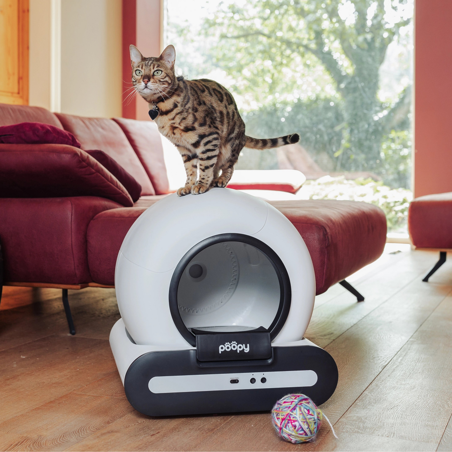 PRE ORDER - Poopy Nano 2 Bundle - Black & White