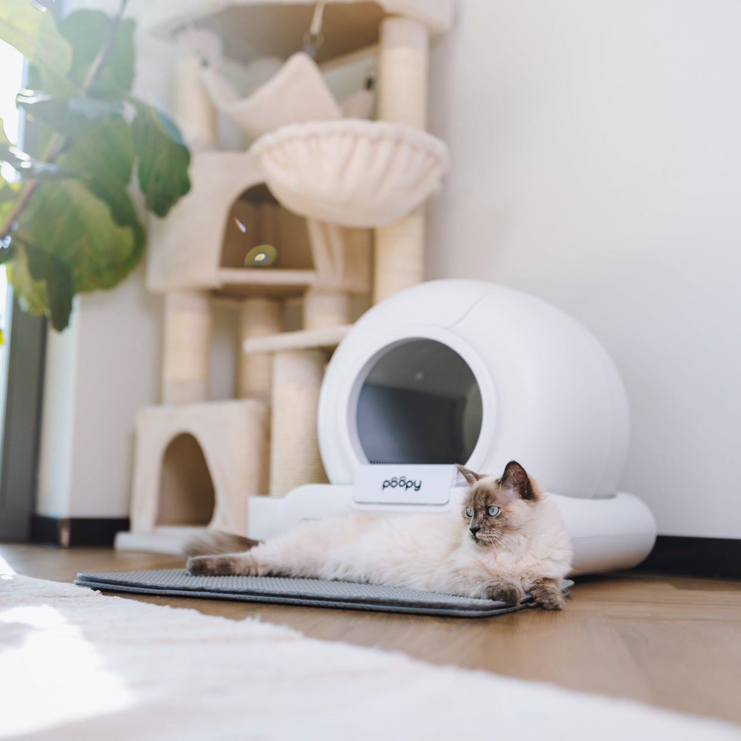 PRE ORDER - Poopy Nano 2 Bundle - White