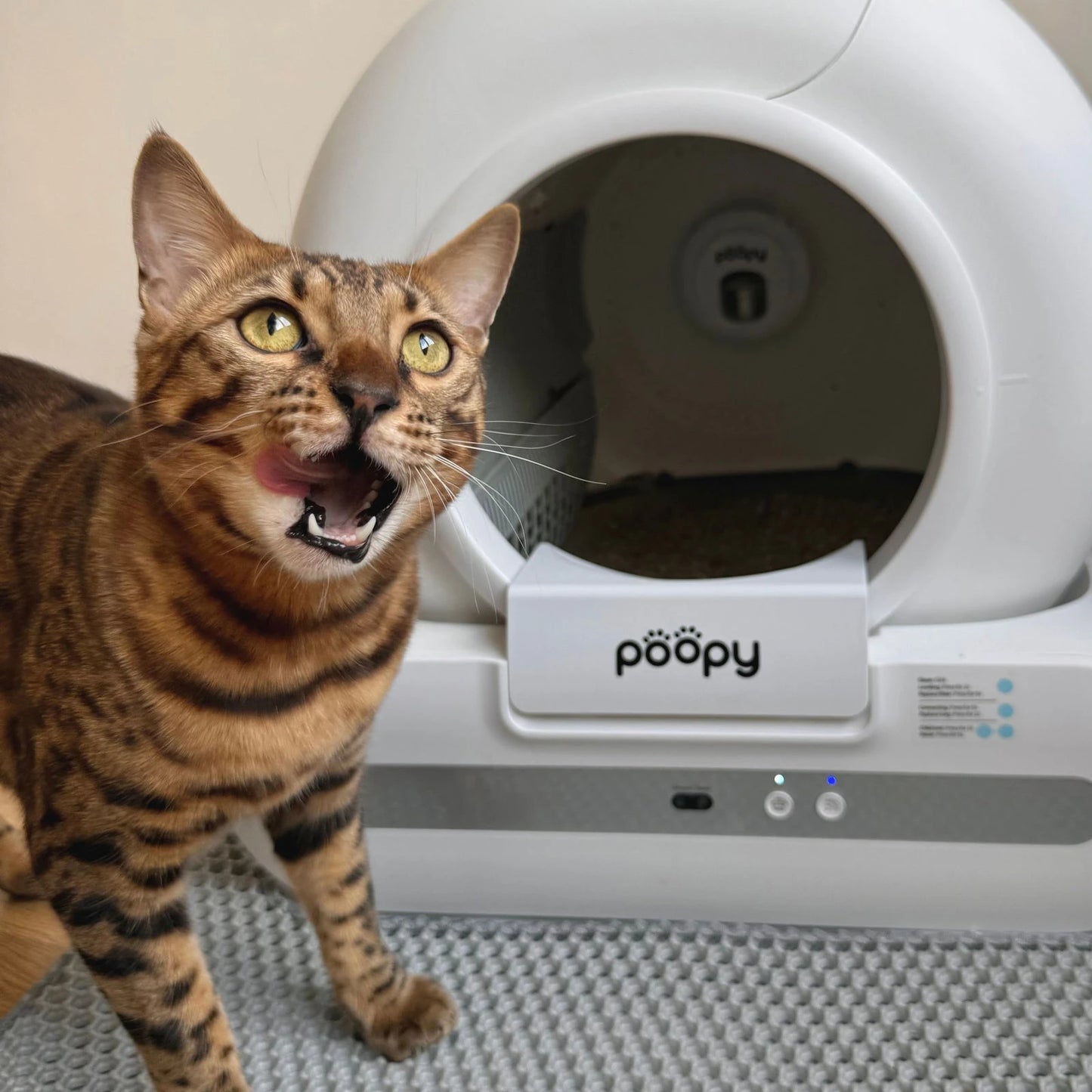 Poopy Aero Odor Detector - Poopy