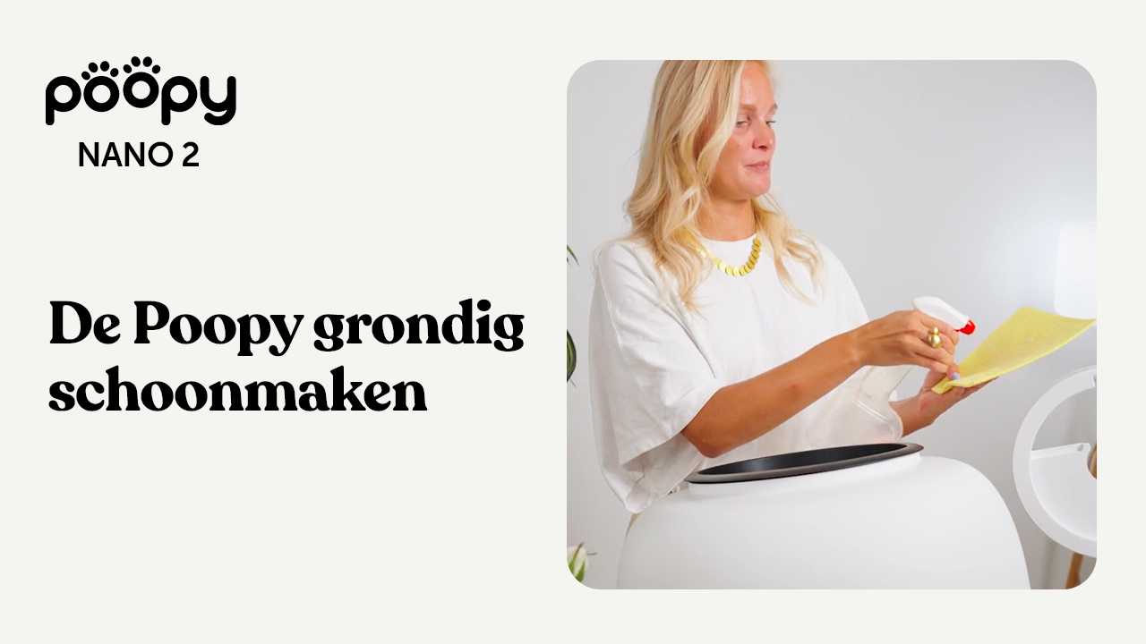 Cleaning the Poopy thoroughly